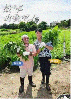 一年一度喜剧大赛