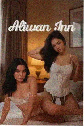 南来北往